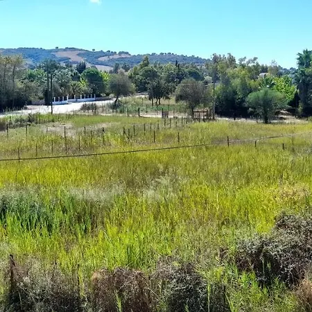 Lakkopetra 아파트 Lakopetra